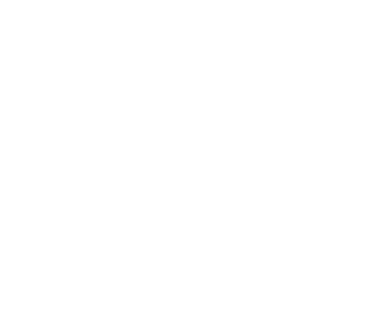 The Leftovers